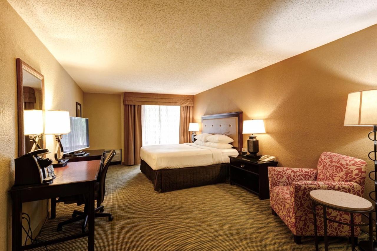 Standard King Room,1238010433:JPEG
